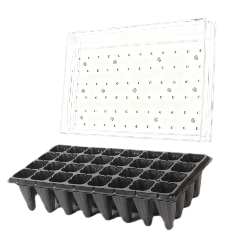 

Practical Plug Tray Seeder for Home Gardening and Nursery