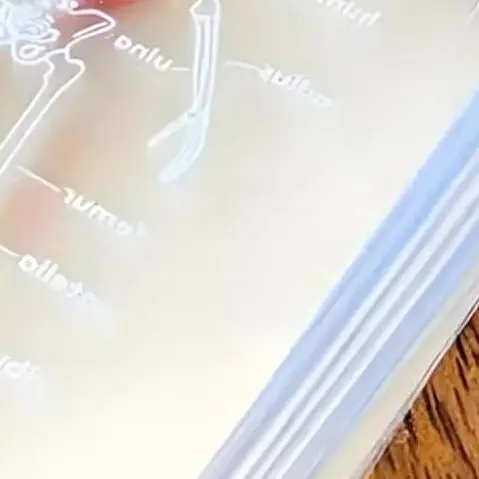 

Reusable Body Transparent Playing Cards Multi-Purpose Human Anatomy Playing Cards Collectors Educational Interactive Game