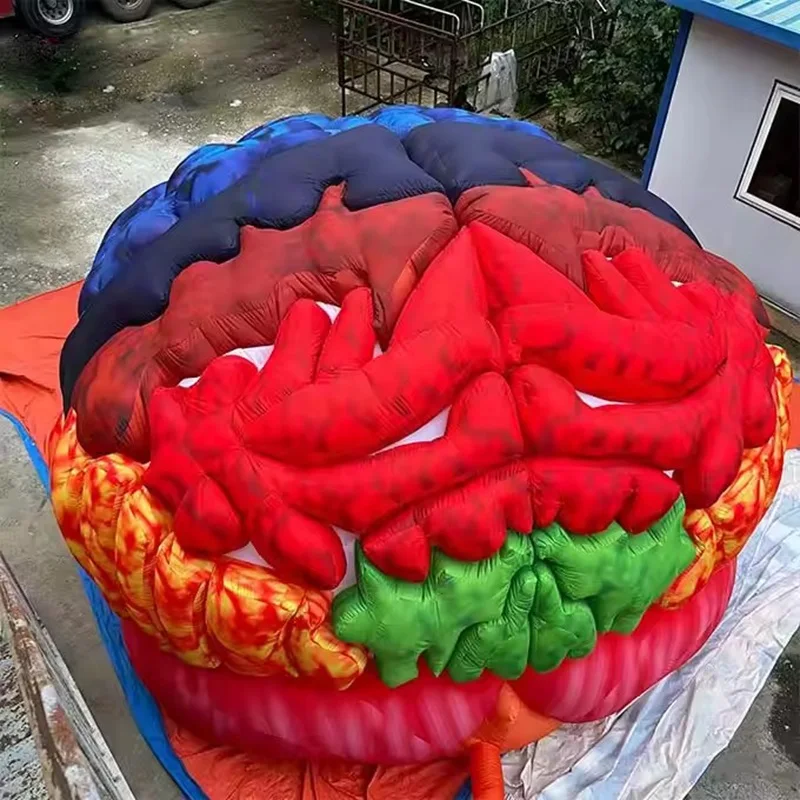 Inflatable brain tent inflatable brain model medical healthcare exhibit