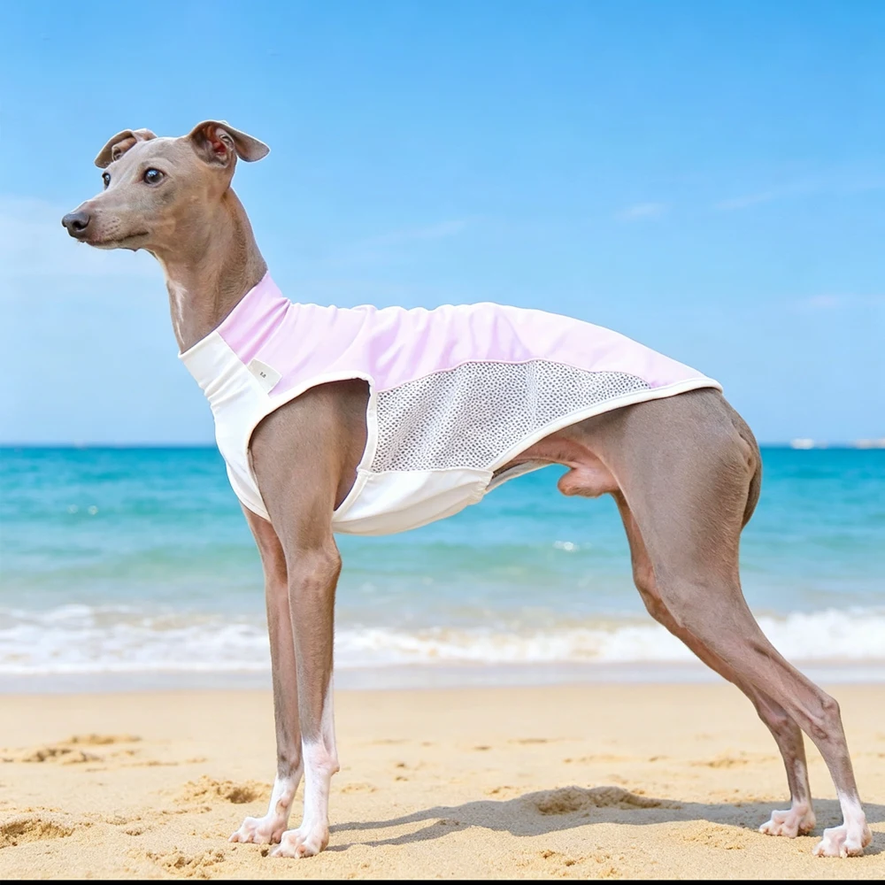 Chaleco transpirable verano protección solar Whippet y Galgo Italiano - imagen 4