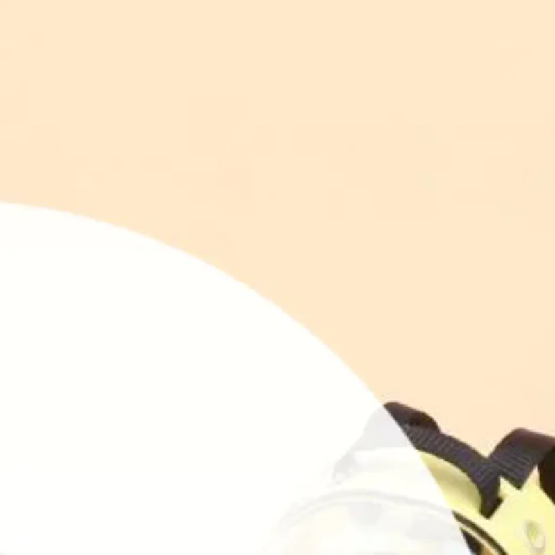 1/12 Poppenhuis Miniatuur Pop Rugzak Huisdier Kat Tas Model Meubels Accessoires Voor Poppenhuis Decor Kids Fantasiespel Speelgoed Gift