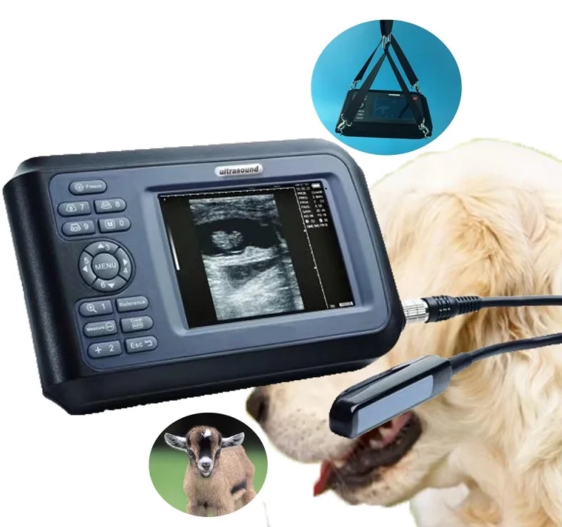 

V8 Hotsale animal obstetric appliance handscan veterinary ultrasound scanner with convex,rectal linear and microconvex probe