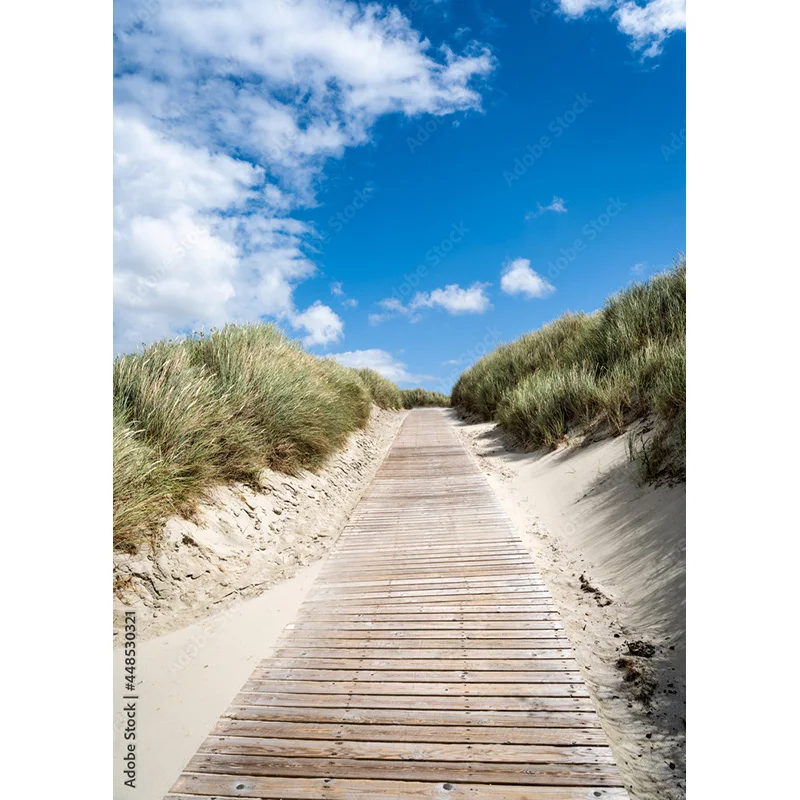 Studio fotografico tropicale 211227-HHB 04 del Photocall dei fondali scenici naturali della foto del fondo di fotografia dell'albero delle palme della spiaggia del mare