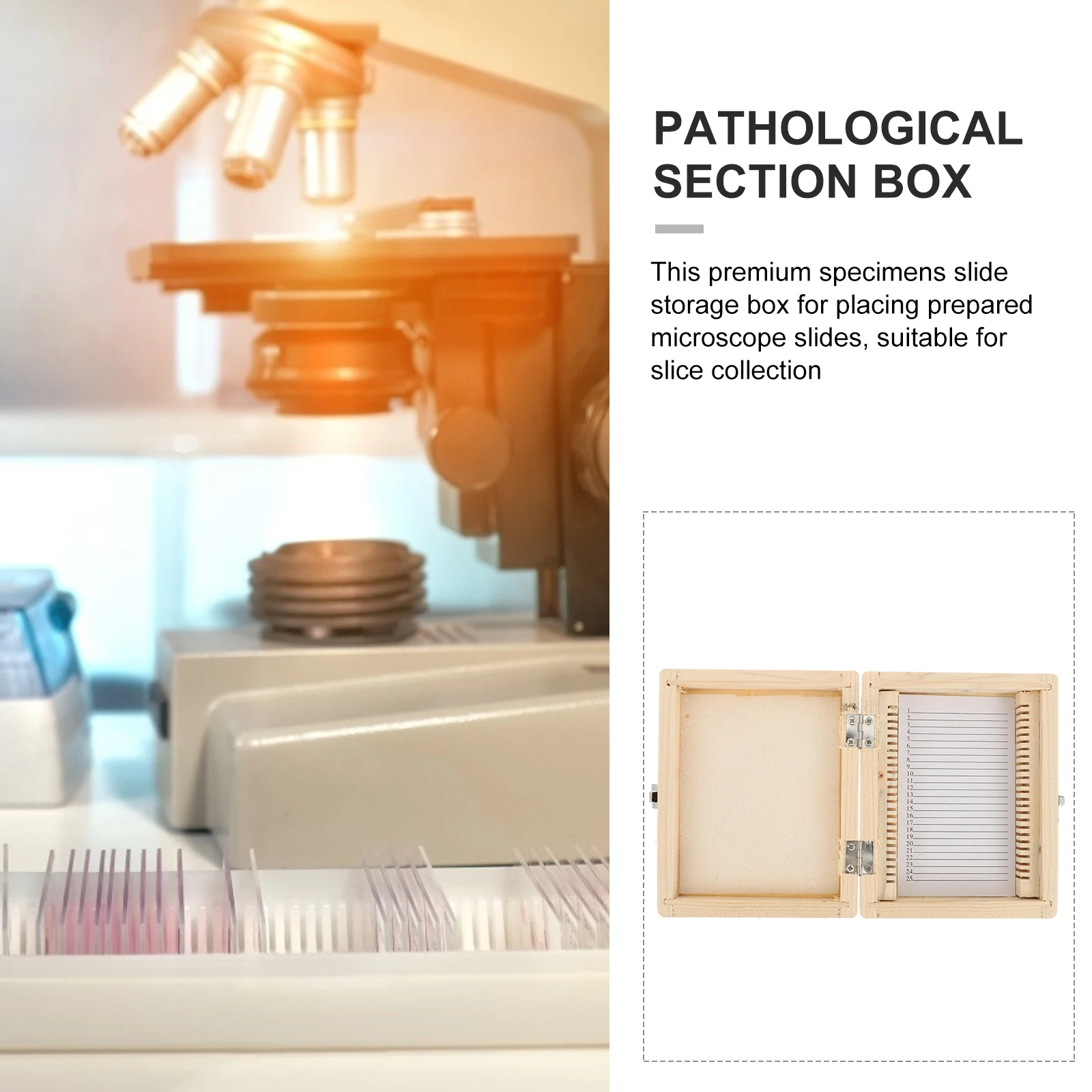 

Premium Wooden Microscope Slide Storage Box Specimen Case With Numbered Slots Wood Material For Slice Collection Medical