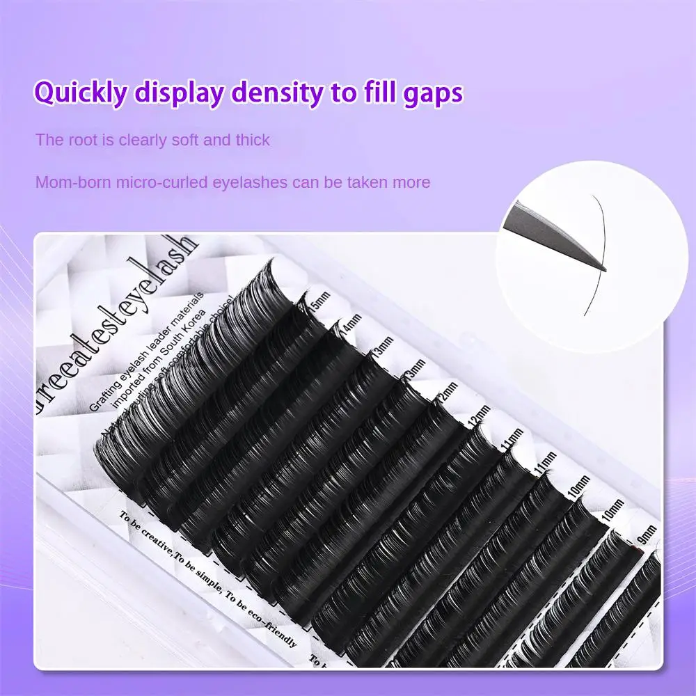 2/3/4PCS Eyelash Extensions Multi-curvature Natural Soft Classic Single False Eyelashes And Tools Multi-curved Eyelashes