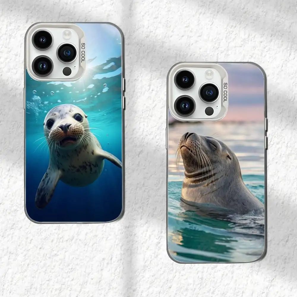 

Seal Animal Cute Phone Case For iPhone 16,15,14,13,12,11,Mini,Pro,SE,MAX White Matte Shockproof Cover