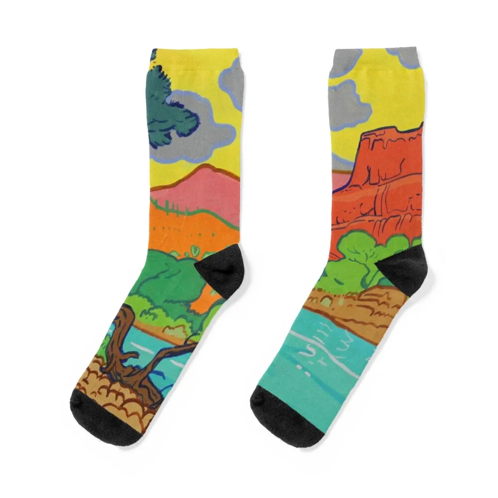 

River Canyon Socks Rugby christmas gifts Crossfit bright garter Socks Girl Men's