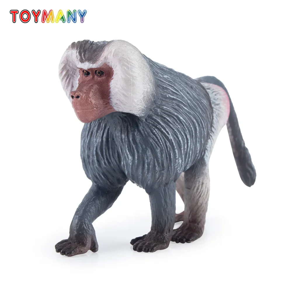 

Toymany Simulation Hamadrayas Baboon Primate Animal Model Toy Mini Figures Dolls Action Figurines Toys Children Gift Cake Decora