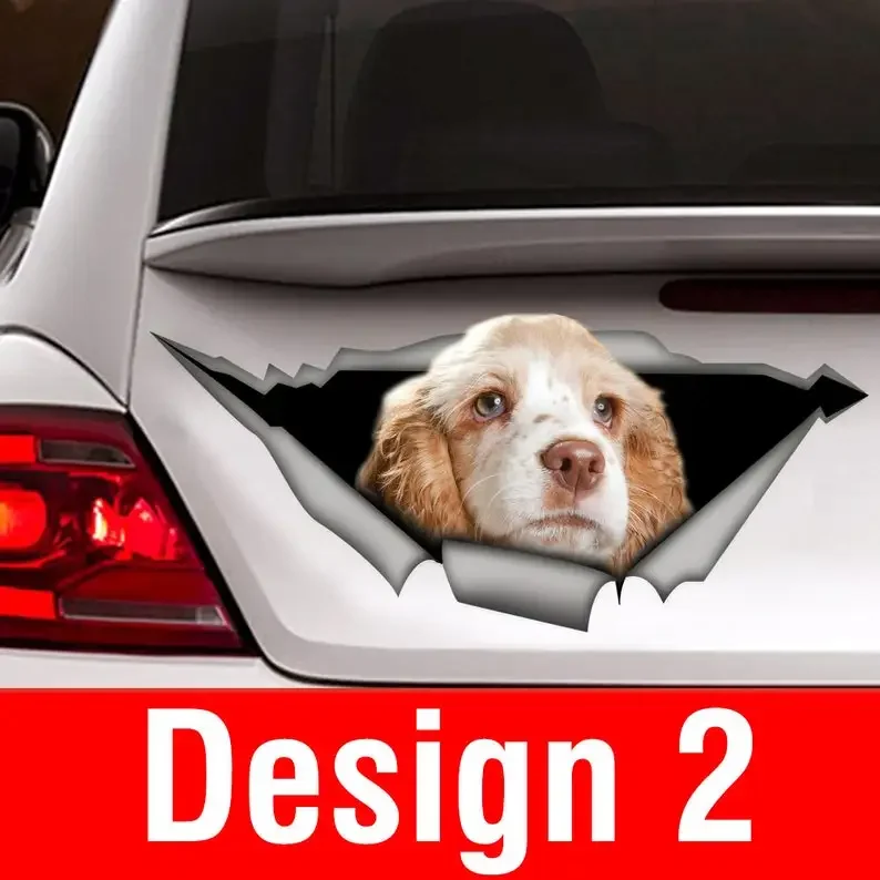 STICKER/ White tan cocker spaniel, dog car decal, car decoration, pet decal, dog sticker