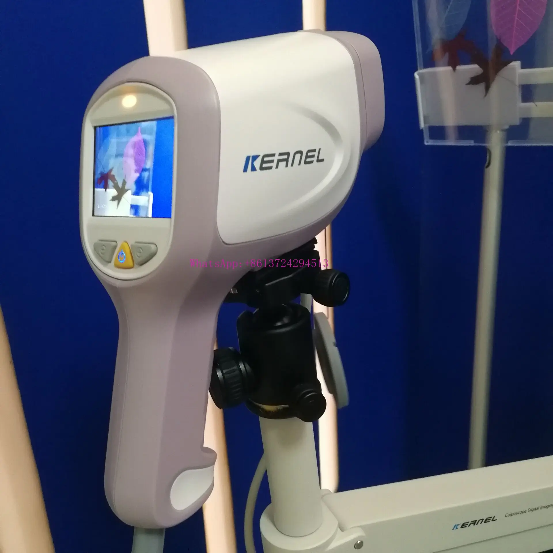 CE approved HD video colposcope camera digital   colposcopy for gynecology examination in Clinic