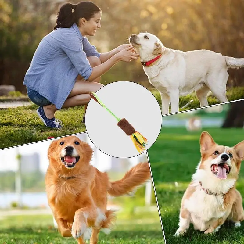 Dog Tug Toy Interactive Dog Chew Rope Squeaky Dog Teething Toy Pet Supplies Puppy Rope Toy With Elastic Drawstring Interactive