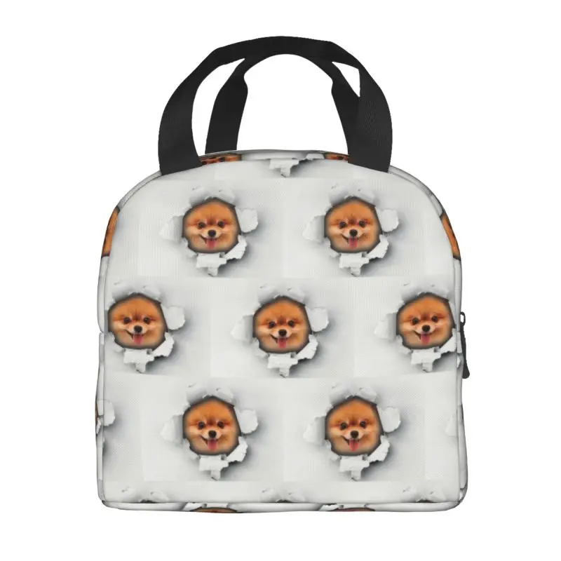 Cute Pomeranian Dog In A Hole Insulated Lunch Bag for Women Portable Spitz Puppy Cooler Thermal Lunch Box Kids School Children