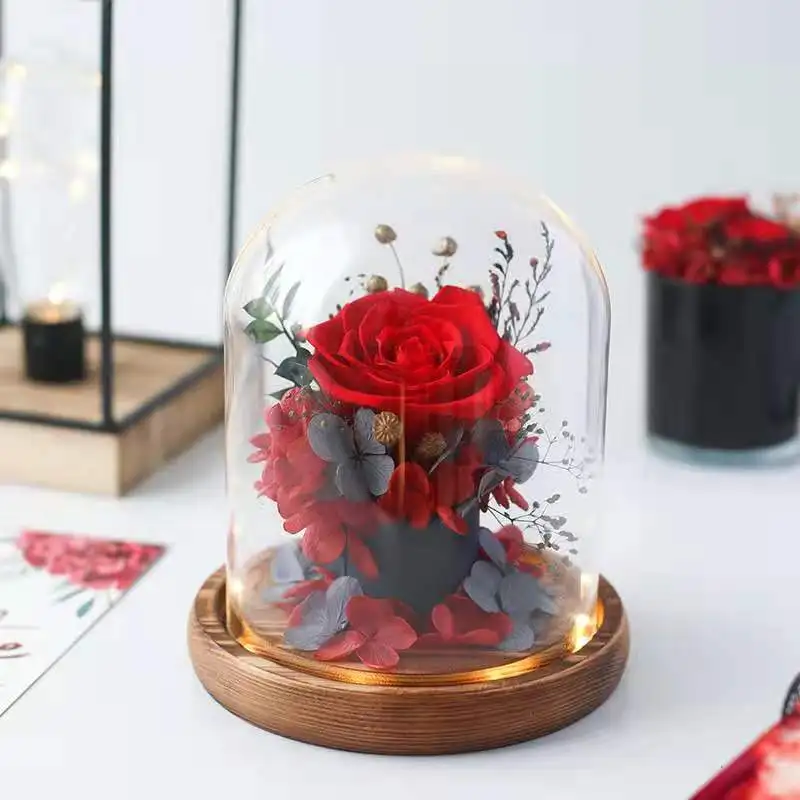 FS 9*12cm 9*15cm 9*18cm 9*20cm 10*12cm 10*15cm 10*18cm Different Size Glass Dome Vase Home Decoration Luminous Coil Antique Base