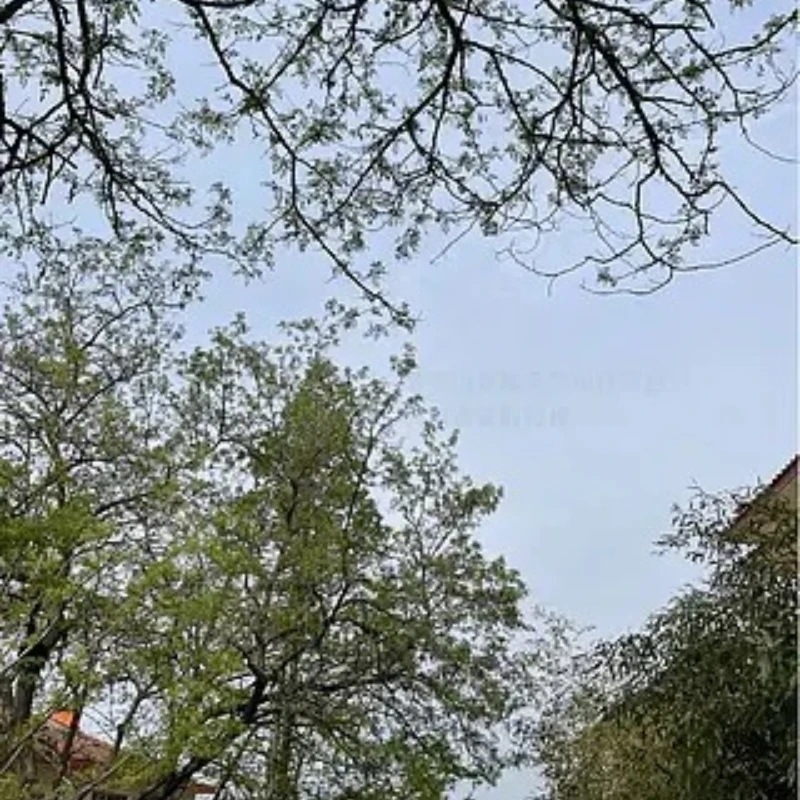 

IFlight Mach R5 Sport Ultra V1.1 Версия 190 мм Колесная база Кронштейн 5 мм Монтажное отверстие для камеры 14 мм Комплект рамы FPV Детали FPV