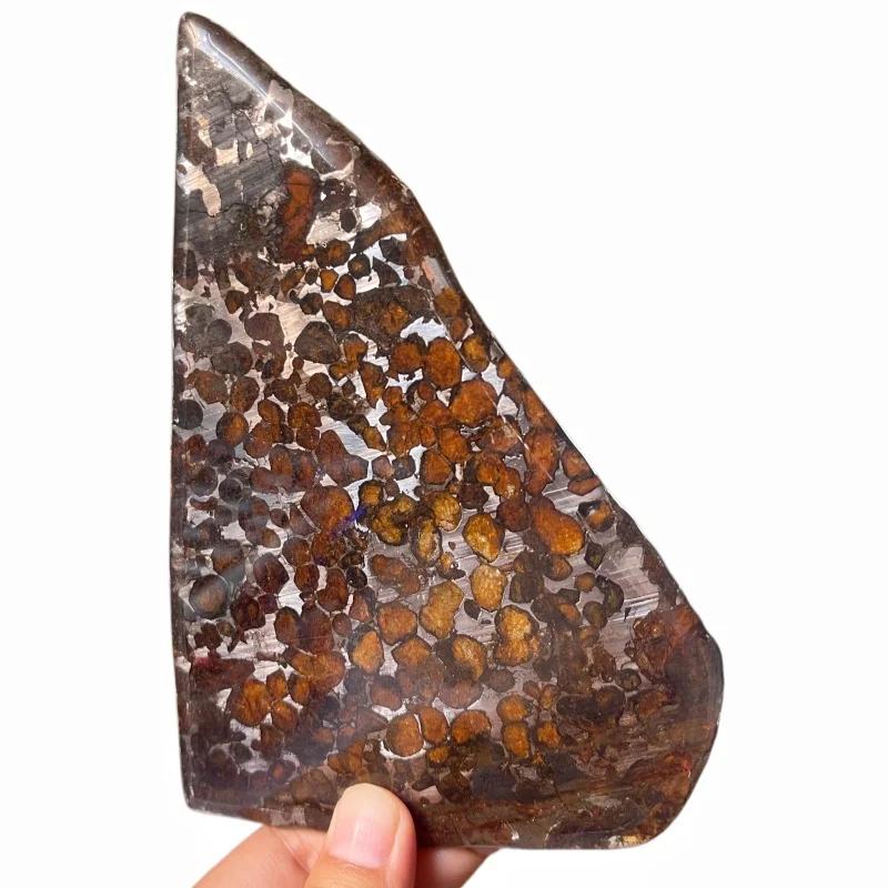 Natural Sericho Pallasite Meteorite Polished Triangular Slice Transparent Olivine Crystal Space Collectible TA806