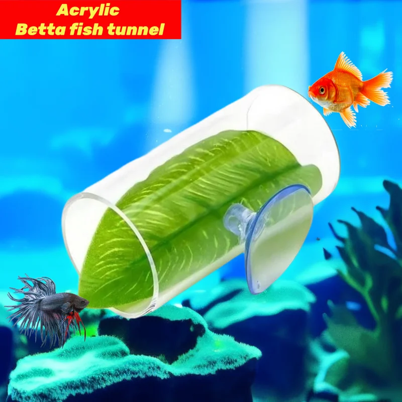 Tubo acrílico para acuario Betta, túnel pequeño/diseño hueco para una mejor observación de peces Betta/decoraciones para pecera Betta, 1 ud.