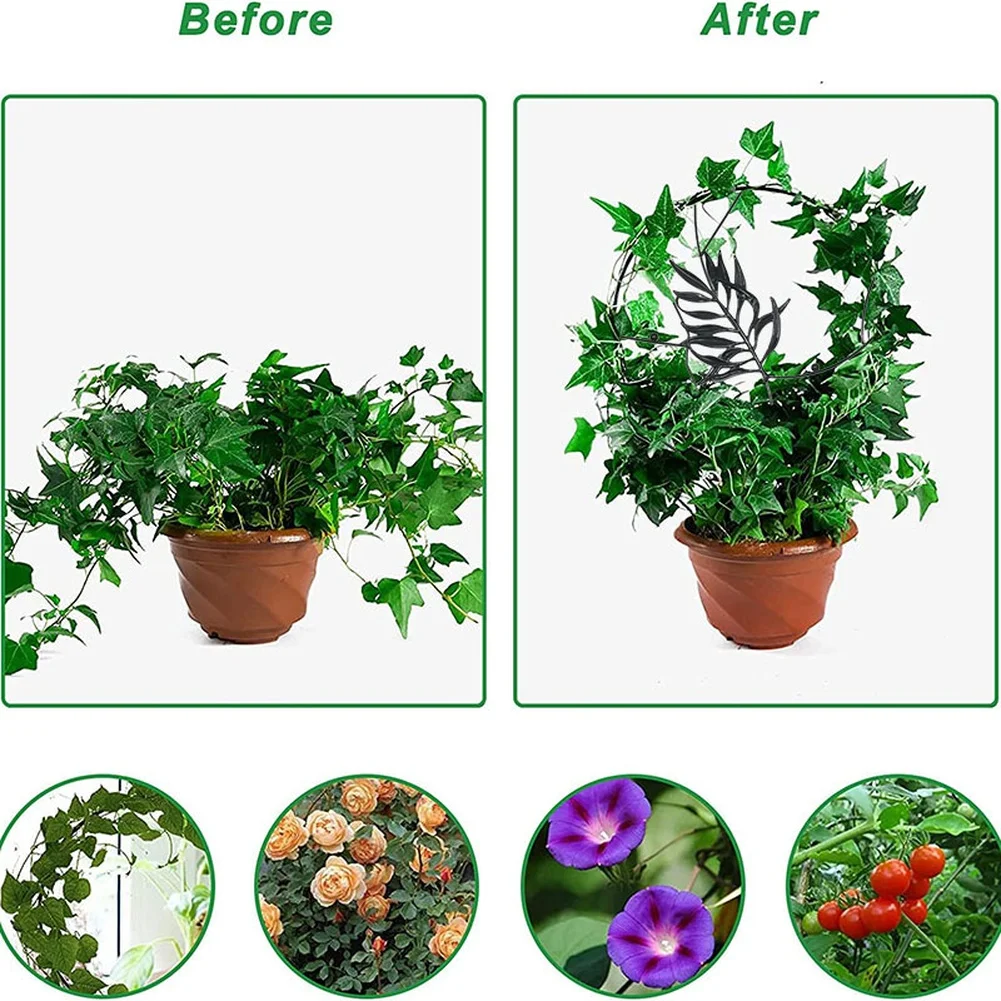 Metal Climbing Aid for Potted For Plants Designed to Promote Healthy Vine Orientation and Space Efficient Growth