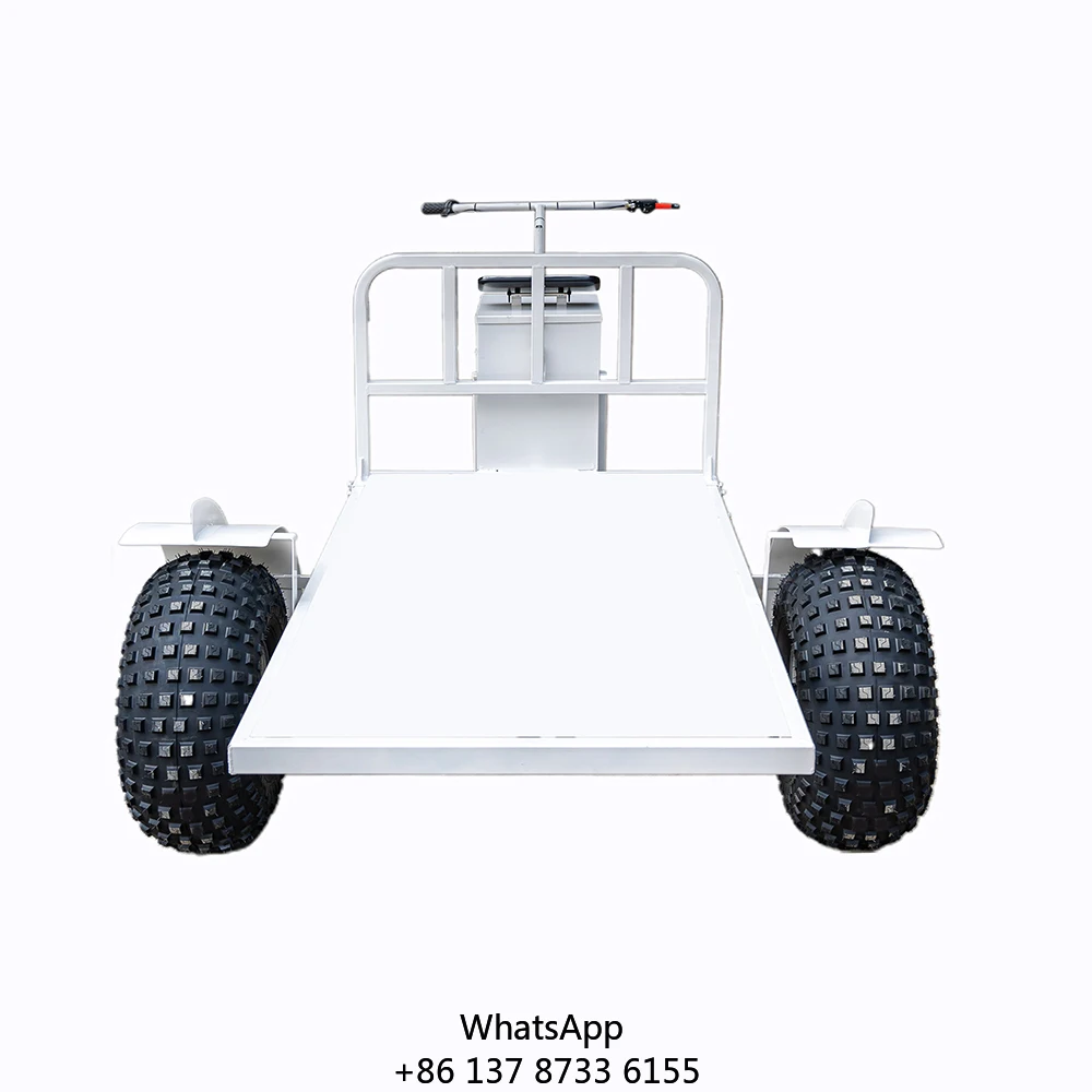 Wholesale Custom Wheel Electric Trolleys Beach Snack Gourmet Mobile Ice Cream Sale Electric Hand Cart Trolleys