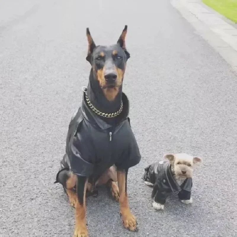 מעיל עור כלב מעיל חורף בגדים לחיות מחמד שיבה אינינו יוך ורוש קורגי בול טריר סמויה זהב חלוק