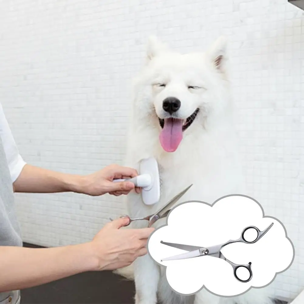 犬のグルーミングはさみ鋼安全丸頭湾曲したペットはさみ犬はさみペットの毛カットはさみ子犬用