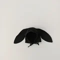 Black Bunny Ear