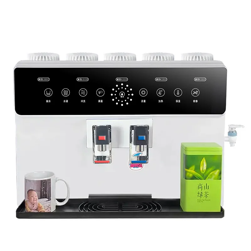 RO Home Water Purifier Tap Water Filtration, All-in-One Direct Drinking/Heating Water Purifier, Wall-Mounted Reverse Osmosis Sys