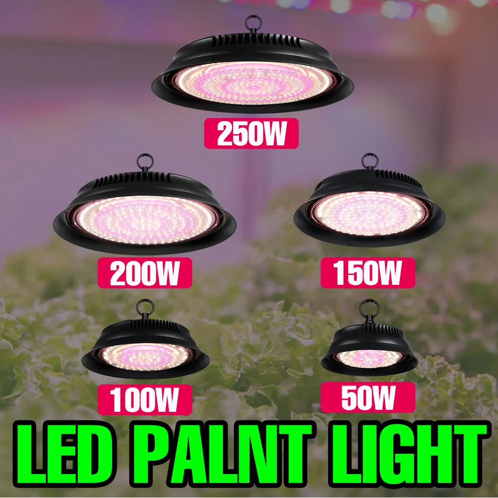 250 واط LED تنمو ضوء الطيف الكامل النبات الزراعة المائية مصباح الولايات المتحدة/الاتحاد الأوروبي التوصيل ل الداخلية بوعاء زهرة الدفيئة خيمة الطماطم الخضروات