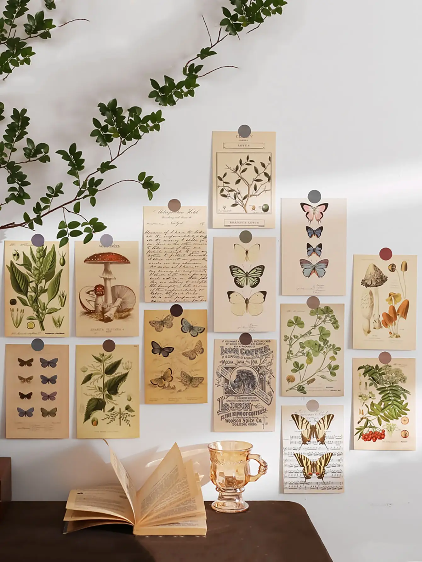 30 Decorative Cards from the Biologist Series for Bedroom Walls, Dormitory Postcards, Wall Stickers, Dormitory Decoration Cards