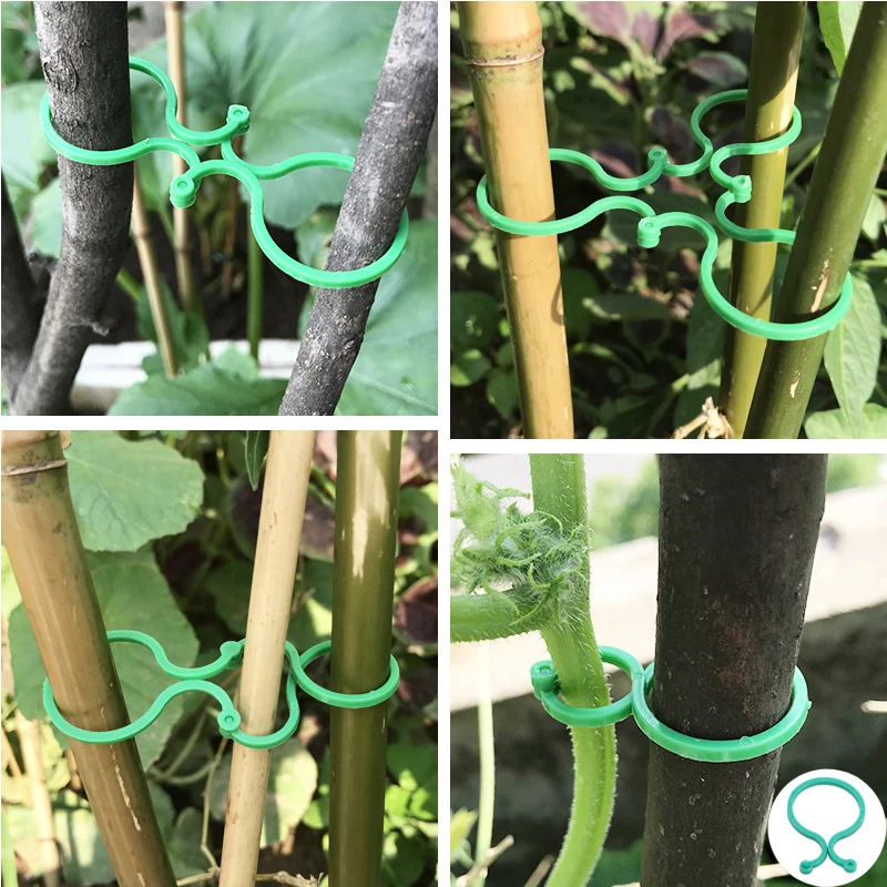 

Vine Strapping Clips Garden Plant Bundled Buckle Ring Tool Fasten Stand Holder Rattan Clip Fixed Support Plastic Bundled Ring