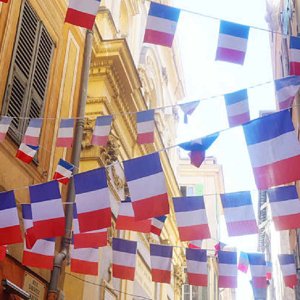 FLAGLINK 24 pièces/ensemble drapeaux de banderole france 14x21cm 20x30cm fanion france chaîne bannière banderoles Festival fête vacances