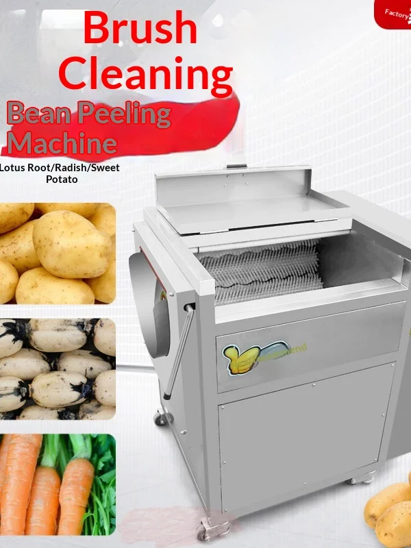 &* Commercial Full-Automatic Food Grade Stainless Steel Potato Sweet Potato Lotus Root Taro Cleaning Peeling Machine-3-Year