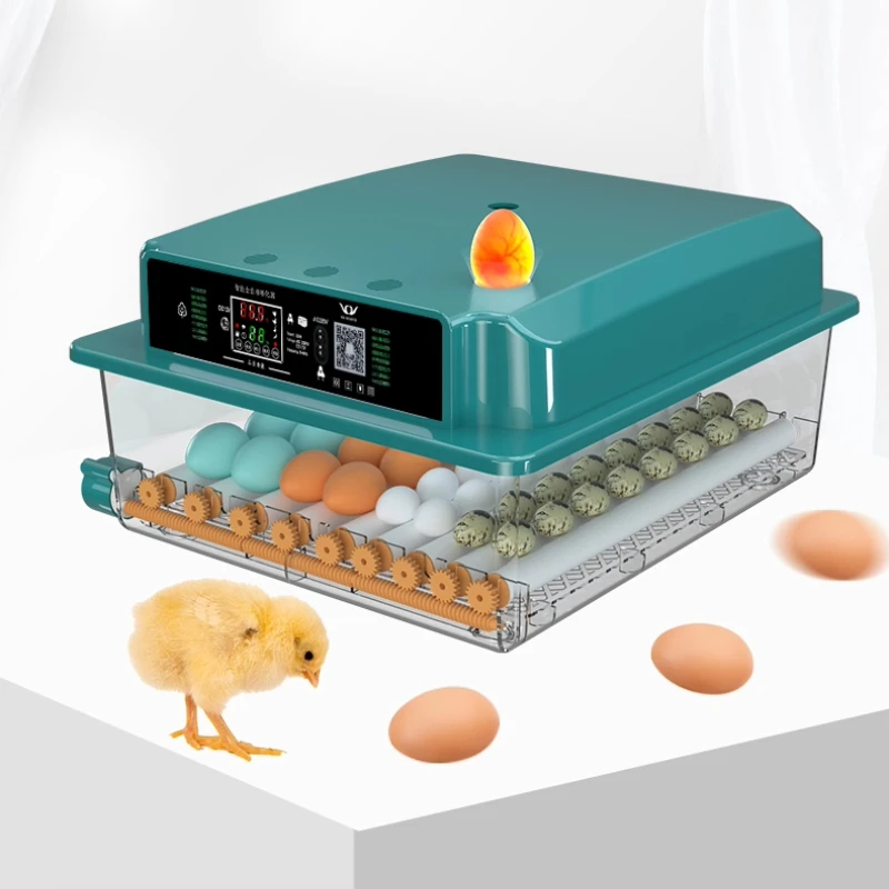 Incubateur d'œufs intelligent automatique, contrôle entièrement numérique pour poulets/œufs de caille, incubateur de démarrage Compact, équipement d'élevage de volaille