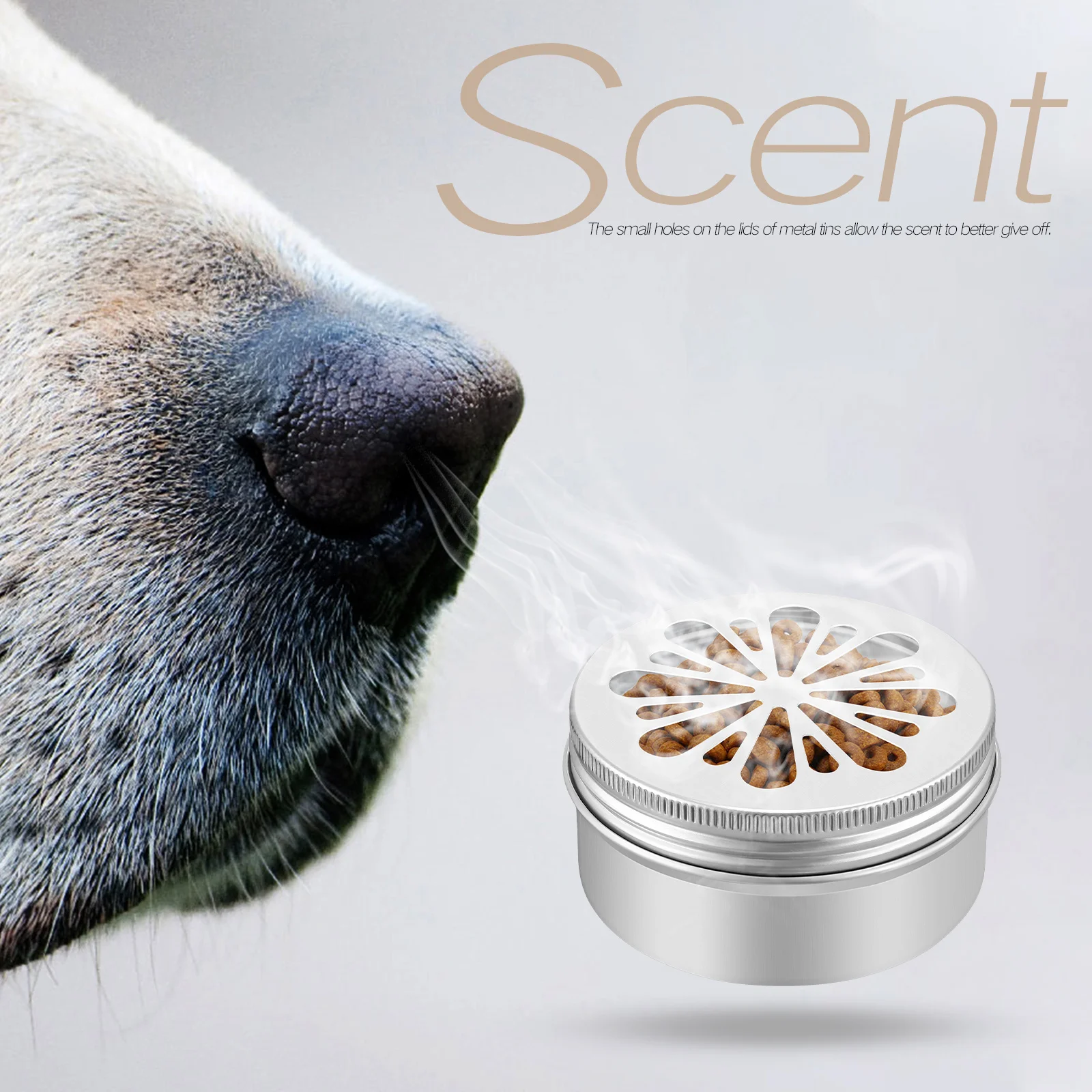 

10 Scent Tins Odor Training Boxes Magnetic Dots Dog Nosework Set Metal Containers Scent Training Boxes Portable Supplies