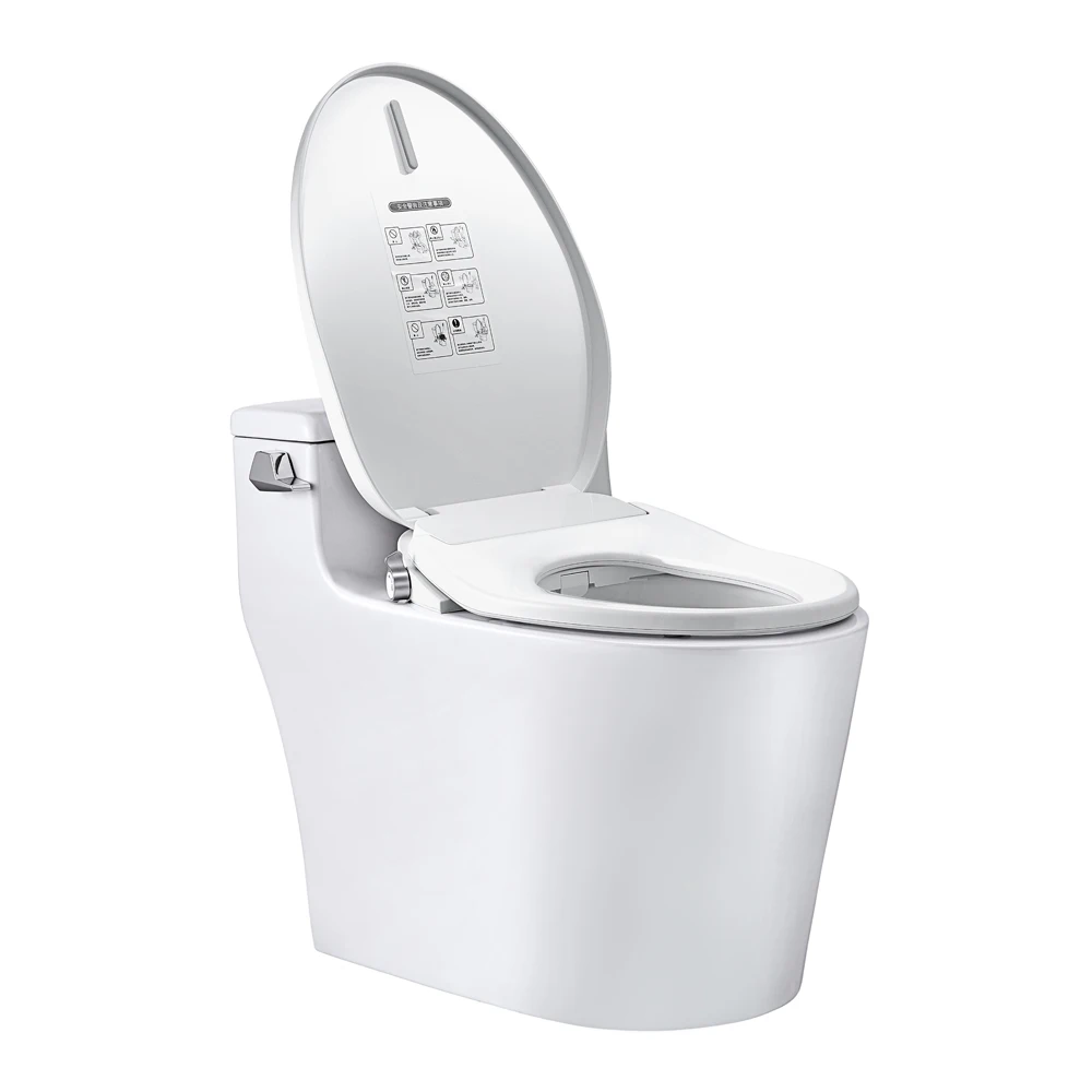 

Home Plastic Female Intelligent Heating Smart Bidet Toilet Seat With Temperature