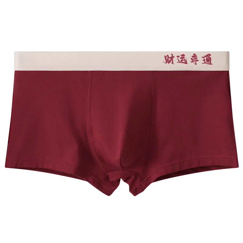 New Year Red Boxer for Men Chinese Lucky Words Print Panties Cotton Soft Comfortable Underpant Zodiac Snake Gifts Underwear 2025