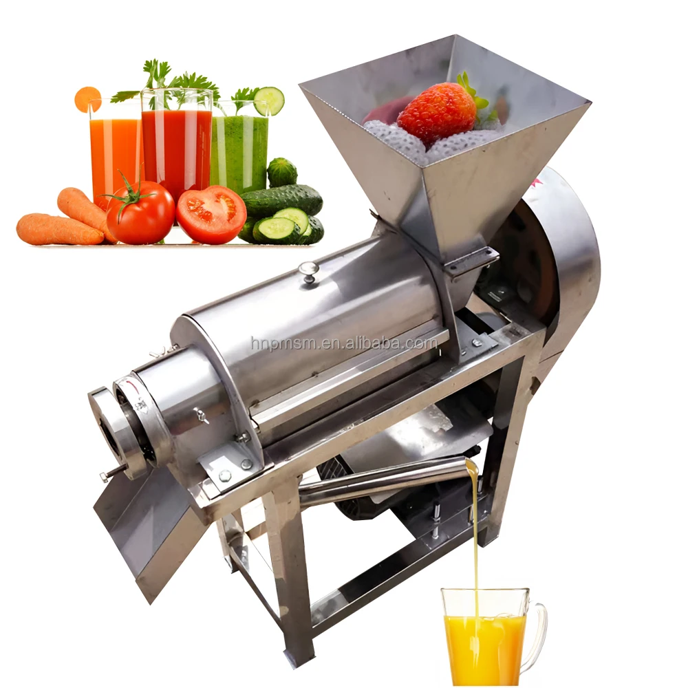 Cold Press Juice Machine Apple Carrot Lemon Blueberry Juice Extractor Santos Spiral Squeezer