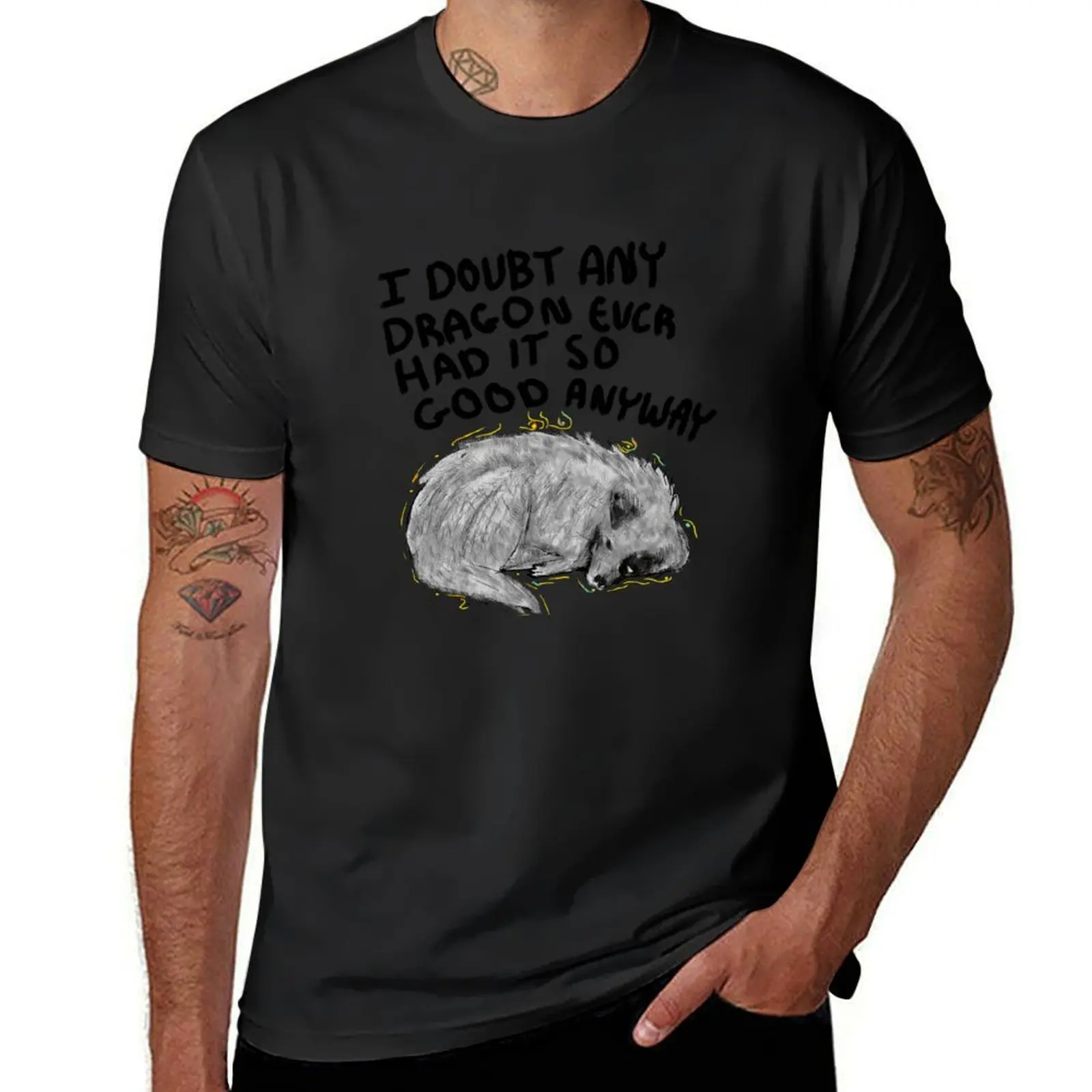 

I Doubt Any Dragon Had it This Good Anyway - Stormlight Archive T-Shirt funny gifts graphic t shirts cotton t shirt men