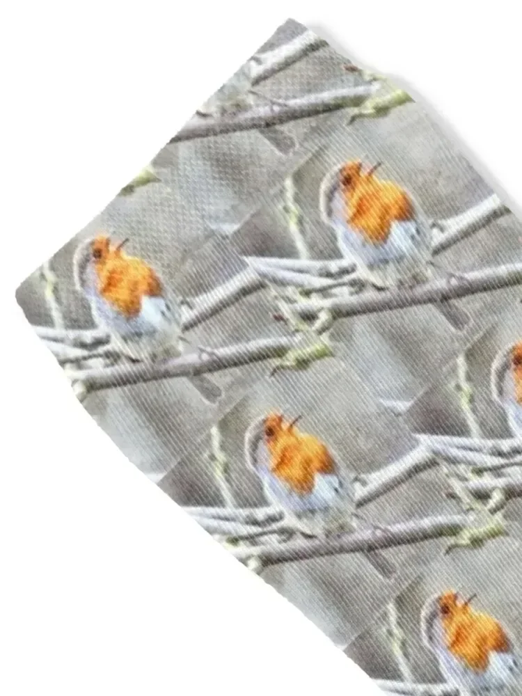 جوارب Angelic Robin المائية هدية عيد الميلاد الملونة كروسفيت كارتون الرجال الجوارب الفاخرة العلامة التجارية النسائية