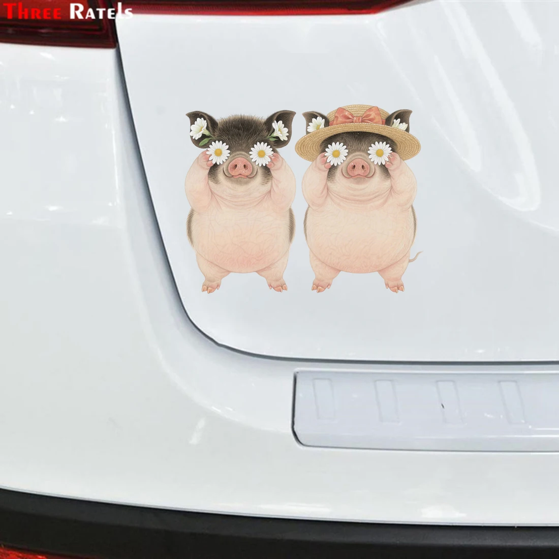 Three Ratels CEE268 Funny little pig friends cartoon wall stickers for home decoration