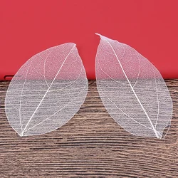 5-6cm/24pcs,Nature Real Touch Leaf Petals,Pressed Dried Flower Leaf for DIY Party Craft Bookmark Gift Card,Gift box Decoration