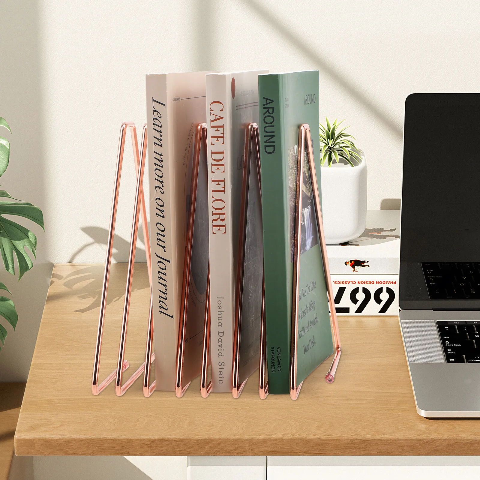 قابل للتعديل مكتب معدني منظم سلك مجلة رف حامل ملفات سطح المكتب كتاب مسجل فينيل مقسم حامل ملفات سطح المكتب #3