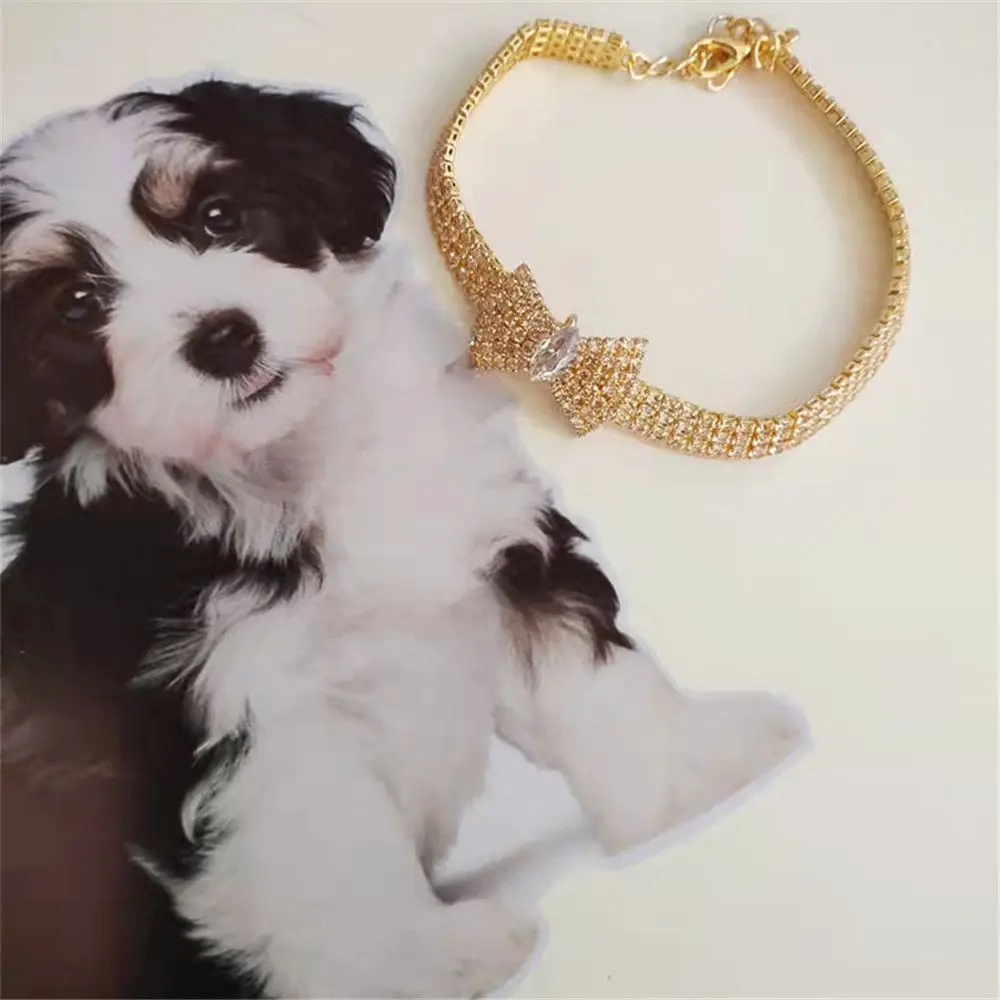 Collier de chiot avec nœud papillon pour petits animaux, bijoux pour animaux de compagnie, collier de chat en biscuits, produits pour animaux de