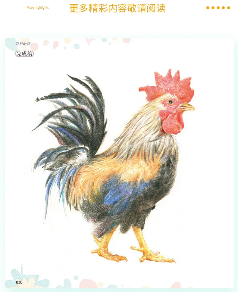 كتاب رسم بالقلم الرصاص الصيني 28 نوعًا من اللوحة الحيوانية المائية قلم رصاص ملون الكتاب المدرسي كتاب فني تعليمي