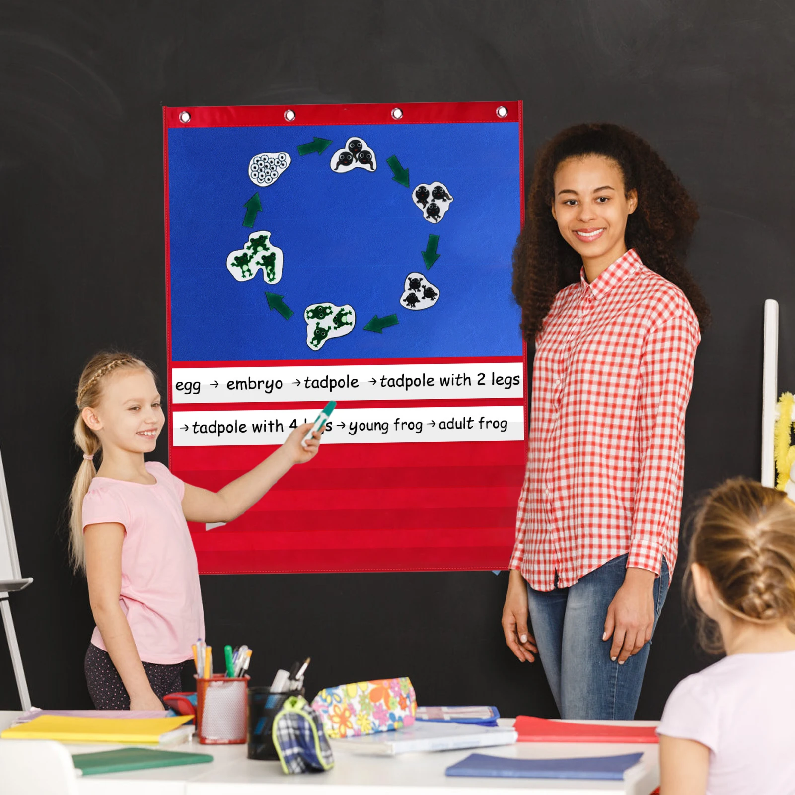 Standard Pocket Chart Standard Size Pocket Chart With 5 Pocket And 15 Dry Erase Cards Felt Board Pocket Chart For Teacher
