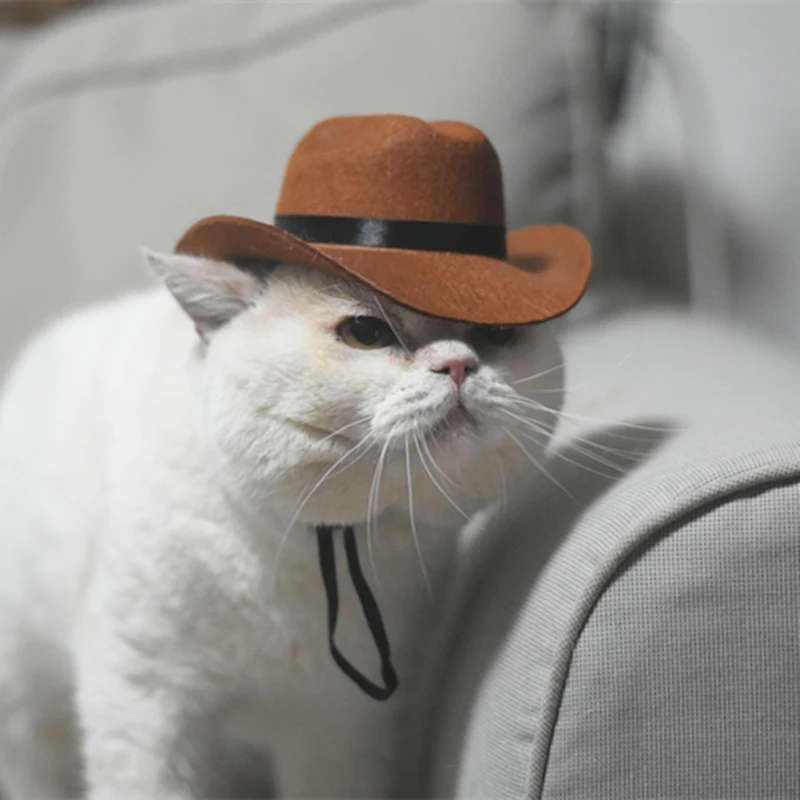 Cat Cowboy Hat Pet Bandana and Hat Set Western Cowboy Hat for Cat Dog Helmet Straw Pet Hat Pet Products