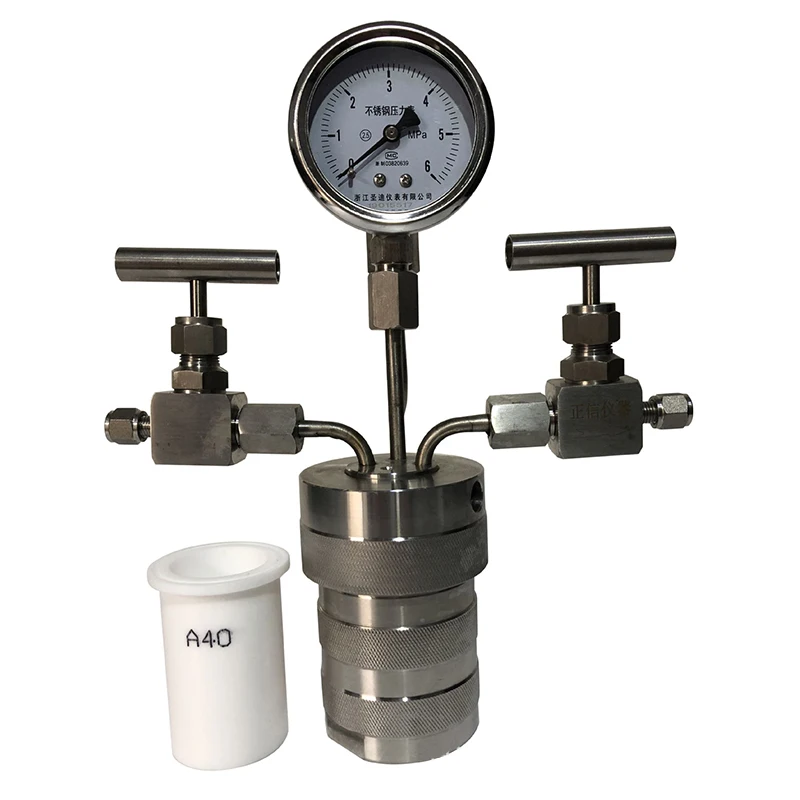 Reactor de Síntesis Hidrotermal de 100 ml con Conexión de Gas, Reactor de Hidrogenación EPF-100ML de Acero Inoxidable