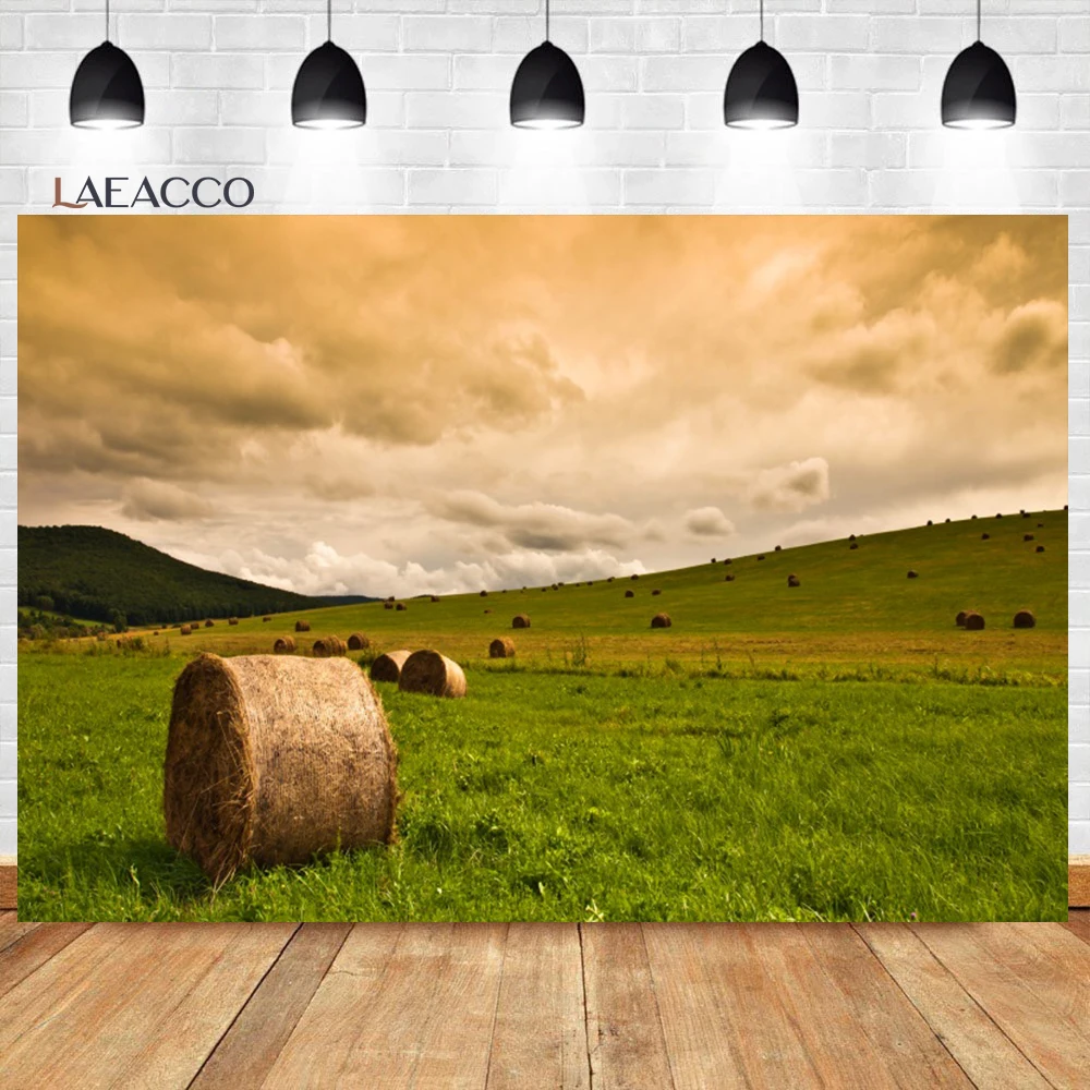 

Laeacco Autumn Sunset Field Agriculture Straw Harvest Hayrick Farmland Photo Background Kids Adult Portrait Photography Backdrop