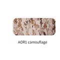 AOR1