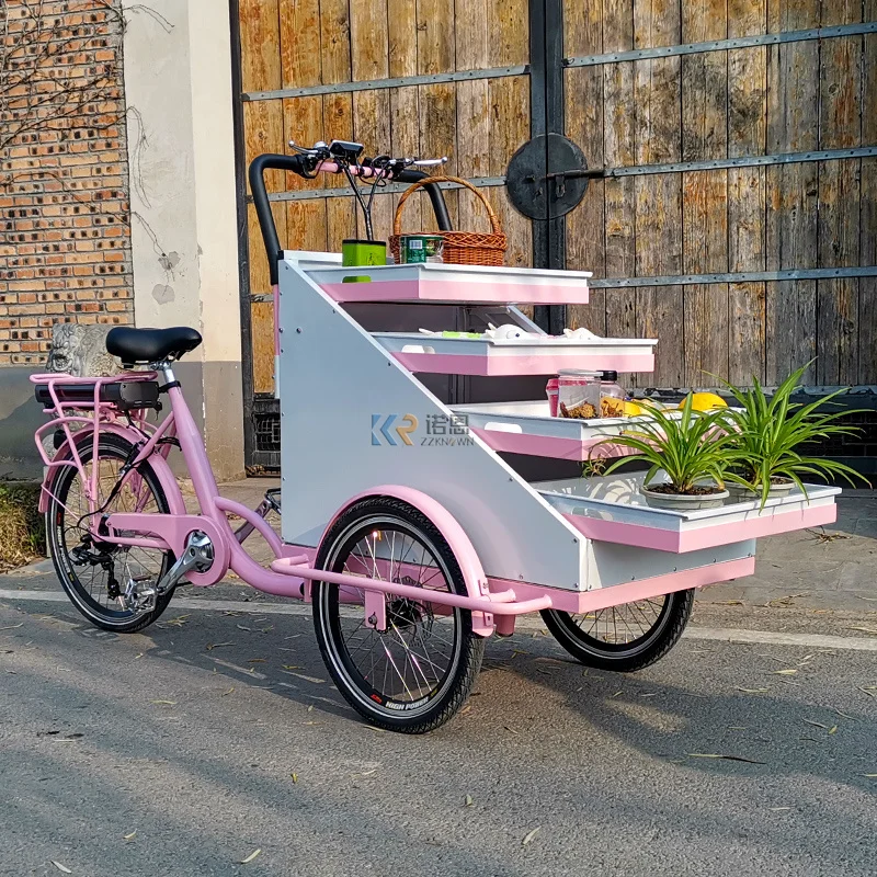 OEM Fruit Vending Cart Food Bike Electric Street Popular Seller Mobile Shop Snacks Park Kiosk Push Tricycle for Sales