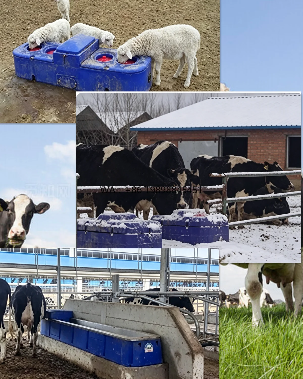 Horse Goat Cattle Livestock Plastic Water Trough Animal Watering System Farm Equipment Heated Drinking Trough for Cow